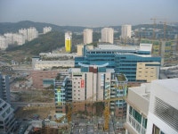 동백의 가을 그리고 상록롯데캐슬1 | 부동산뱅크 커뮤니티