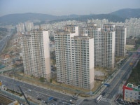 동백의 가을 그리고 상록롯데캐슬1 | 부동산뱅크 커뮤니티