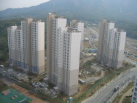 동백의 가을 그리고 상록롯데캐슬1 | 부동산뱅크 커뮤니티