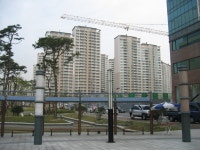 동백의 가을 그리고 상록롯데캐슬2 | 부동산뱅크 커뮤니티