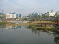 동백의 가을 그리고 상록롯데캐슬4 | 부동산뱅크 커뮤니티