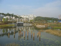 동백의 가을 그리고 상록롯데캐슬4 | 부동산뱅크 커뮤니티