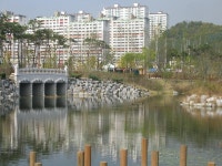 동백의 가을 그리고 상록롯데캐슬4 | 부동산뱅크 커뮤니티