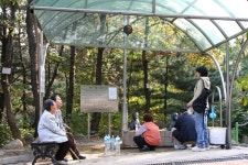 능안공원의 가을풍경(3) | 부동산뱅크 커뮤니티