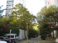 동작구 신대방 우성아파트에 가을의 정취가... | 부동산뱅크 커뮤니티