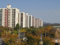 고양시 행신동 가을 단풍이 동양화 입니다. | 부동산뱅크 커뮤니티