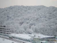 호원 건영 눈이 오던 날 | 부동산뱅크 커뮤니티