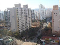 경기도 성남시 정자동 한솔3단지한일 | 부동산뱅크 단지뱅크