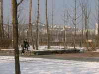 서울 숲에서 대림2차를 배경으로~ | 부동산뱅크 커뮤니티