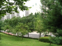 고양행신 KTX 마을 쌍용한진의 사계 | 부동산뱅크 커뮤니티