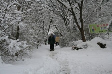 눈꽃도 아름다운 산본 12단지 한양목련(3) | 부동산뱅크 커뮤니티