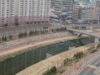 아파트 앞 부용천입니다.. | 부동산뱅크 커뮤니티