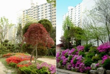 햇빛정원에서 | 부동산뱅크 커뮤니티