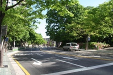 5월 연두빛이 아름다운 능안공원 | 부동산뱅크 커뮤니티