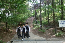 5월 연두빛이 아름다운 능안공원 | 부동산뱅크 커뮤니티