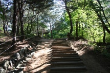 5월 연두빛이 아름다운 능안공원(2) | 부동산뱅크 커뮤니티