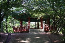 5월 연두빛이 아름다운 능안공원(2) | 부동산뱅크 커뮤니티