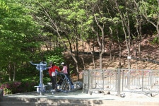 5월 연두빛이 아름다운 능안공원(5) | 부동산뱅크 커뮤니티