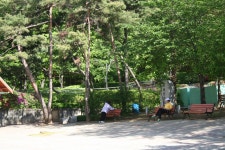 5월 연두빛이 아름다운 능안공원(7) | 부동산뱅크 커뮤니티