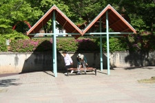 5월 연두빛이 아름다운 능안공원(7) | 부동산뱅크 커뮤니티