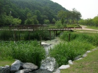 용인 구갈 3지구 레스피아 공원의 여름 | 부동산뱅크 커뮤니티