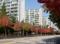 신내동에 찾아온 가을 | 부동산뱅크 커뮤니티