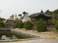 봄빛으로 물든 일산 호수공원 | 부동산뱅크 커뮤니티