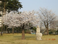 봄옷으로 갈아입은 일산 호수공원 | 부동산뱅크 커뮤니티