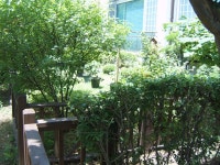 도심속의 소형타운하우스(1) | 부동산뱅크 커뮤니티