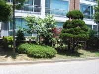 도심속의 소형타운하우스(1) | 부동산뱅크 커뮤니티