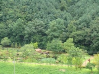 용마산과 구갈 레스피아공원 조망 | 부동산뱅크 커뮤니티