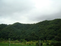 용마산과 구갈 레스피아공원 조망 | 부동산뱅크 커뮤니티