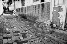 사진마을 : 작가마당 - 고단함이 봄바람에 살랑살랑 고단함이 봄바람에 살랑살랑