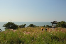 사진마을 : 작가마당 - 영광 백수 낙조 영광 백수 낙조