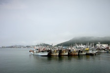 : 사진마을 : - 신진도항(2) 신진도항(2)