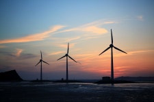 : 사진마을 : - 탄도항에서 탄도항에서