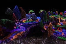 : 사진마을 : - 아침고요수목원 아침고요수목원