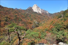 : 사진마을 : - 봄, 여름, 가을, 겨울(3) 봄, 여름, 가을, 겨울(3)