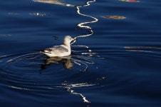 : 사진마을 : - 속초 출사 가실분 속초 출사 가실분