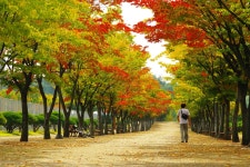 : 사진마을 : - 가을에는 걸어라 가을에는 걸어라