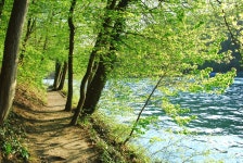 : 사진마을 : - 아름다운 길 아름다운 길