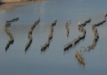 : 사진마을 : - 굴양식장 굴양식장