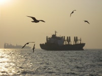 : 사진마을 : - 바다이야기 바다이야기