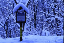 : 사진마을 : - snow cap snow cap