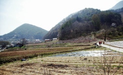 : 사진마을 : - 진안고원 구봉산 농장 진안고원 구봉산 농장