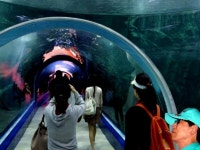 : 사진마을 : - 名物  디지털 갤러리 名物  디지털 갤러리