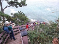 : 사진마을 : - 부산 갈맷길2-2코스를 도보하였습니다. 부산 갈맷길2-2코스를 도보하였습니다.