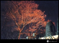 : 사진마을 : - N Tower 구경 2 N Tower 구경 2