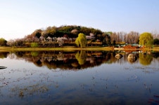 : 사진마을 : - 우리집 앞마당 우리집 앞마당