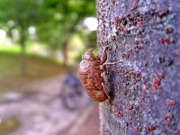 : 사진마을 : - 빈집 빈집